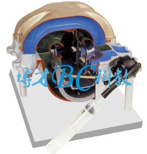 BCQC-JP017 感應開關系統解剖模型