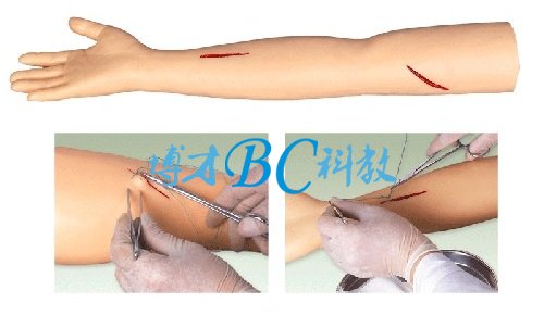 BC-LV1外科手臂縫合訓練模型