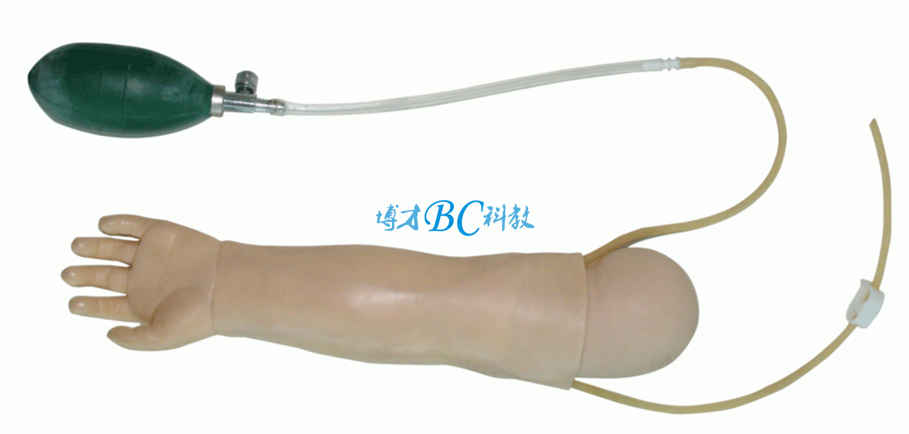 BC-HS37嬰兒動脈穿刺訓練手臂
